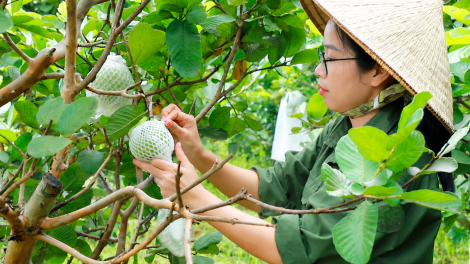 Từ đồng vốn ưu đãi đến sinh kế bền vững