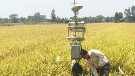 Cần Thơ ứng dụng công nghệ trong kết nối tiêu thụ sản phẩm