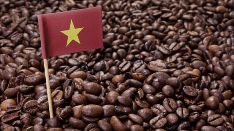 Bản tin 15h 19/10/2026