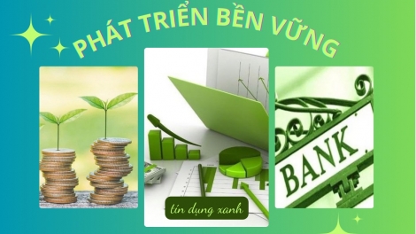 Khơi thông dòng vốn tín dụng xanh: Doanh nghiệp cần lộ trình giảm phát thải cụ thể
