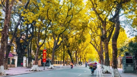 Dự báo thời tiết ngày 6/10/2026: Bắc Bộ trời lạnh, có nơi chuyển rét, Trung Bộ mưa lớn diện rộng