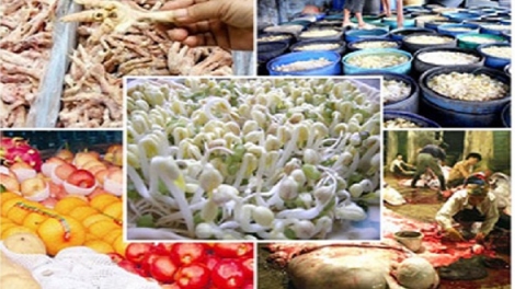 Đã đến lúc phải coi các vi phạm về vệ sinh an toàn thực phẩm là tội ác (14/12/2015)