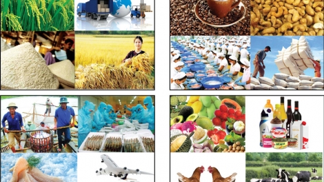 Việc kết nối vận chuyển hàng hóa, nông sản từ nơi sản xuất đến
nơi tiêu thụ còn trở ngại, đẩy chi phí, giá thành đội lên cao (Thời sự trưa 11/12/2015)