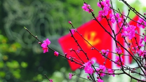 Tùy bút: "Tin ở mùa xuân"