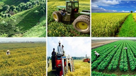 Những khó khăn cản đường phát triển của Hợp tác xã (20/3/2016)