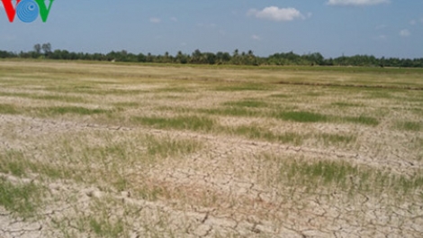 Nâng cao công tác dự báo, quy hoạch chủ động ứng phó với thiên tai vùng Đồng bằng sông Cửu Long (1/4/2016)