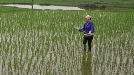Kinh nghiệm khởi nghiệp gắn với bảo vệ môi trường và chống biến đổi khí hậu (23/3/2016)