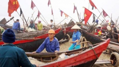Phát triển và văn hóa (24/3/2016)