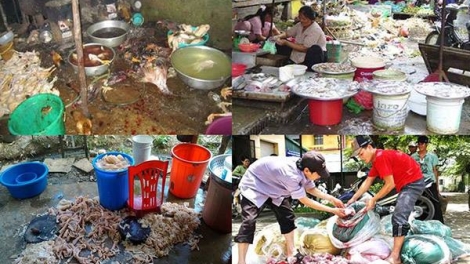 Sử dụng hóa chất trong nông sản, thực phẩm: Trách nhiệm của nhà quản lý (06/4/2016)