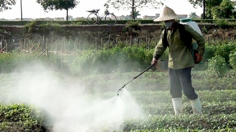 Hội chứng "rau 2 luống, lợn 2 chuồng" - hay con đường đồng bào ta đầu độc đồng bào mình (15/4/2016)