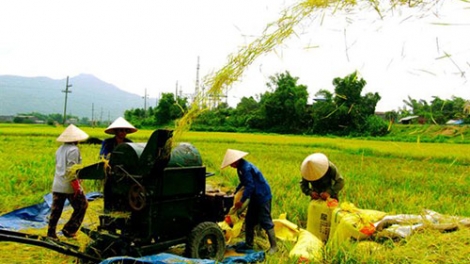 Tầm nhìn chiến lược của Đảng về vấn đề tam nông. (20/01/2016)