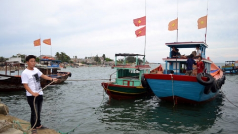 Biển đảo Việt Nam ngày 11/11/2014:
