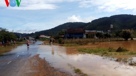 Thời sự trưa ngày 26/8/2014: Lâm Đồng: Lũ về đột ngột, ngập lụt 50 hộ dân, giao  thông bị ách tắc.