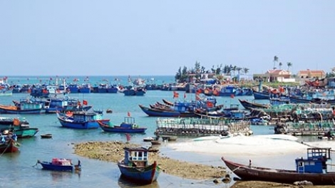 Biển đảo Việt Nam ngày 20/8/2014: Lý Sơn chuyển mình phát triển mạnh mẽ.