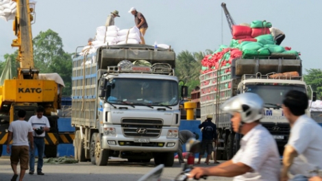 Thời sự trưa ngày 8/8/2014: Có hay không hiện tượng bảo kê cho xe quá khổ, quá tải?