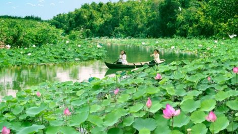 Diễn đàn kinh tế ngày 14/9/2014: Đồng Tháp - Đánh thức tiềm năng du lịch đất sen hồng