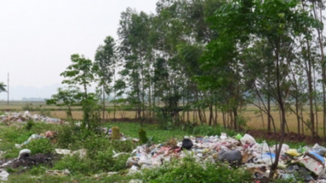 Môi trường và phát triển ngày 14/7/2014: Kiểm toán môi trường: khó cũng phải làm