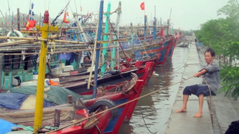 Biển đảo Việt Nam ngày 19/7/2014:Các tỉnh ven biển Bắc Bộ dồn sức phòng chống bão