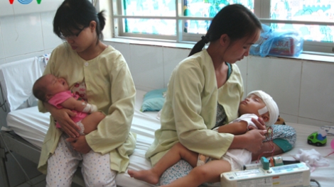 Thời sự trưa ngày 29/6/2014: Bộ Y tế đề nghị người dân cần cho trẻ tiêm vắc-xin viêm não Nhật Bản đầy đủ và đúng lịch