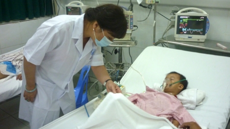 Thời sự trưa ngày 6/7/2014: Gia tăng bệnh nhân viêm não Nhật Bản tại 2 thành phố lớn