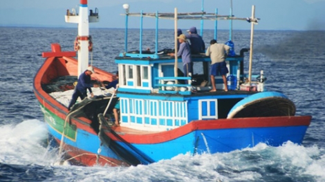 Ngư dân không một ngày xa biển.