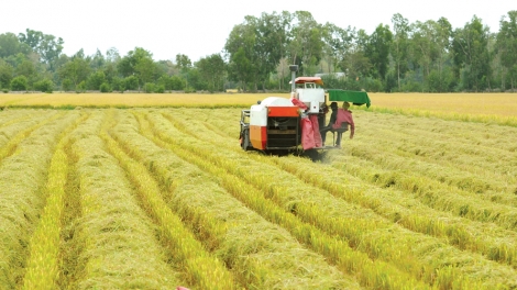 Nông dân thời hội nhập: Phải thay đổi tư duy và cung cách làm ăn