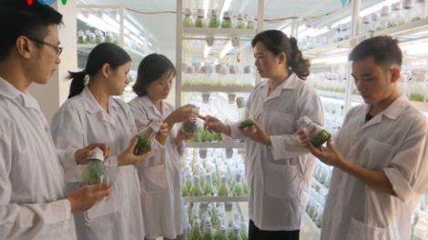 Nữ trí thức Việt Nam- cần lắm sự sẻ chia