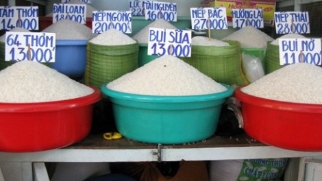 Bàn biện pháp xây dựng thương hiệu gạo Việt Nam