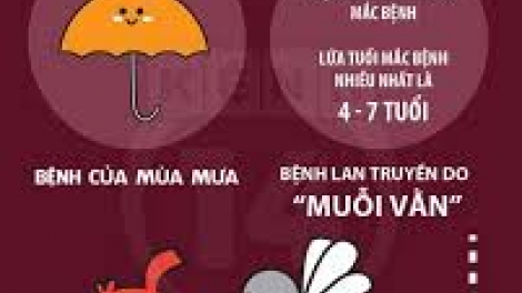 Bộ Y tế khuyến cáo người dân thực hiện 6 biện pháp chính để phòng chống dịch sốt xuất huyết. (Thời sự chiều ngày 7/10/2015)