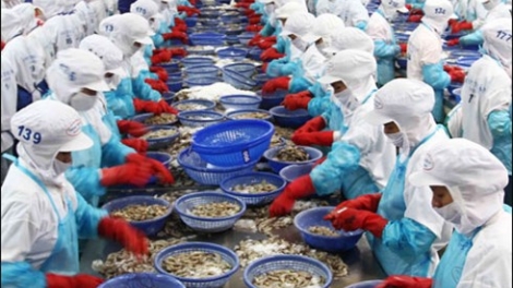 Xuất khẩu thủy sản Việt Nam năm 2015 khó phục hồi và hướng khắc phục.