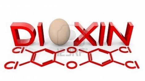 Kết quả nghiên cứu mới về tác hại của chất da cam/dioxin đối với con người và môi trường ở nước ta. (Thời sự đêm 24/11/2015)