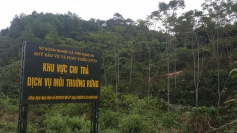 Chi trả dịch vụ môi trường rừng sau 5 năm thực hiện (30/11/2015)