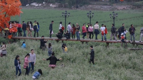 Thung lũng hoa” và phép ứng xử.(01/12/2015)