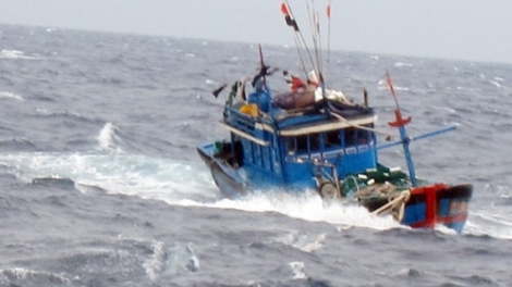 7 ngư dân trên tàu cá Thanh Hóa rơi xuống biển mất tích trên vùng biển Hải Phòng - Quảng Ninh (Thời sự trưa 5/12/2015)