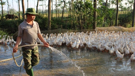 Nông thôn mới ở Bình Xuyên, Vĩnh Phúc: Thay đổi tư duy để hội nhập (8/12/2015)