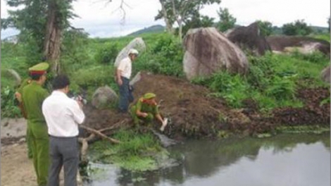 Môi trường và phát triển ngày 26/01/2015: Quản lý môi trường: Yếu vì thanh tra, kiểm tra, giám sát kém hiệu quả