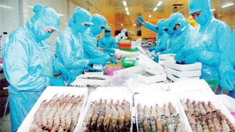 Kinh tế ngày 4/1/2015: Những nỗ lực khơi thông thị trường xuất khẩu.