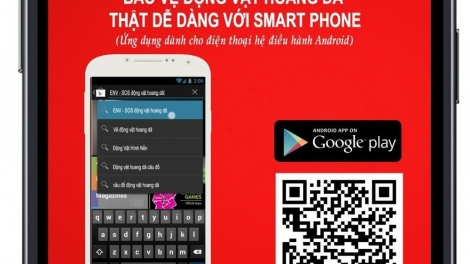 Môi trường và phát triển ngày 05/01/2015: Tận dụng internet để bảo vệ động vật hoang dã.