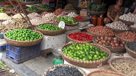 Nông nghiệp và nông thôn ngày 08/01/2015: Cơ hội nào cho nông sản Việt Nam khi hội nhập