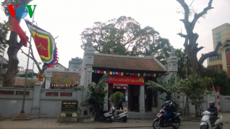 Môi trường và phát triển ngày 12/02/2015: Những sai lầm trong bảo tồn cây di sản Việt Nam