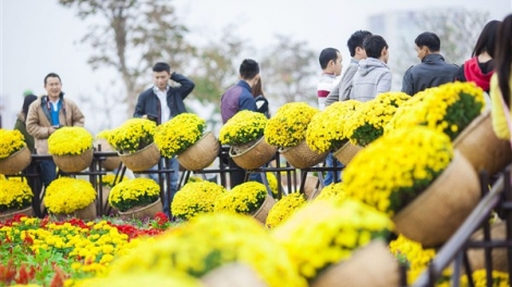 Nông nghiệp và nông thôn ngày 17/02/2015: Đặc sắc Hội chợ hoa, cây cảnh xuân 2015