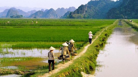 Làm gì để đảm bảo lợi nhuận cho nông dân?.