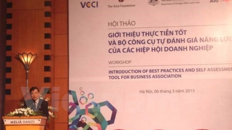 Kinh tế ngày 11/03/2015: Giới thiệu Bộ công cụ tự đánh giá năng lực các hiệp hội doanh nghiệp Việt Nam.