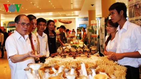 Nông nghiệp và nông thôn ngày 13/3/2015: Khoa học công nghệ trong nông nghiêp - đòn bẩy từ khối tư nhân.