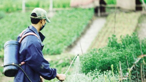 Chuyên gia của bạn ngày 17/3/2015: Dự thảo luật Bảo vệ và Kiểm dịch thực vật.