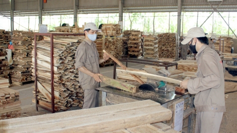 Pháp luật và đời sống ngày 18/3/2015: Nâng cao ý thức của doanh nghiệp và người lao động trong công tác đảm bảo an toàn vệ sinh lao động.