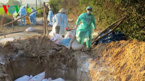 Thời sự trưa ngày 19/3/2015: Thanh Hóa tiêu hủy hơn 1.000 con gia cầm nhiễm virus cúm A/H5N6, loại virus có thể lây sang người với tỷ lệ tử vong cao.