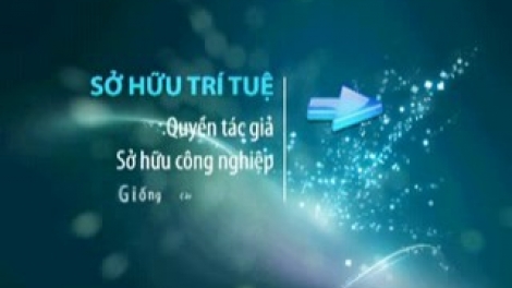Khoa học và công nghệ ngày 20/3/2015: Đăng ký sở hữu trí tuệ đối với các sáng chế và nghiên cứu của các nhà khoa học.