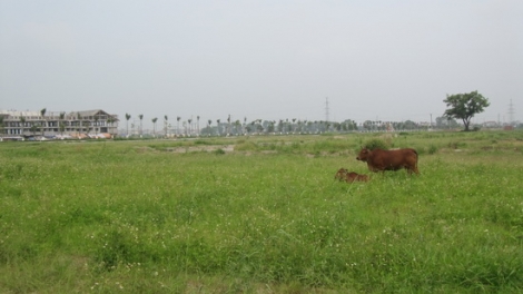 Môi trường và phát triển ngày 26/3/2015: Việt Nam cần có chiến lược quản lý tài nguyên đất đai dài hạn.