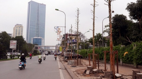 Thời sự đêm ngày 25/3/2015: Sở Xây dựng Hà Nội vẫn khẳng định cây mới trồng trên đường Nguyễn Chí Thanh là cây vàng tâm và số tiền bán gỗ lên đến hàng trăm tỷ là không đúng.